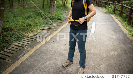 Woman hiker buckle up the waist strap of her backpack on forest trail 81747732
