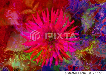 Fine art close-up of a colourfull flower Fine art close-up of a colourfull flower 81747776