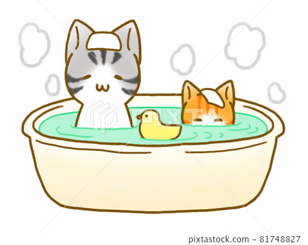 A cat warming up in a basin bath 81748827