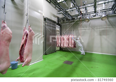 Pork from the meat processing center 81749360
