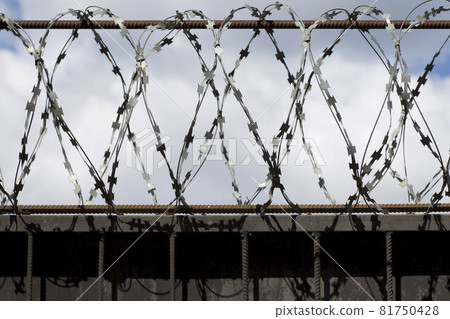 Barbed wire wound to the top of a fence, Russia Barbed wire wound to the top of a fence, Russia 81750428
