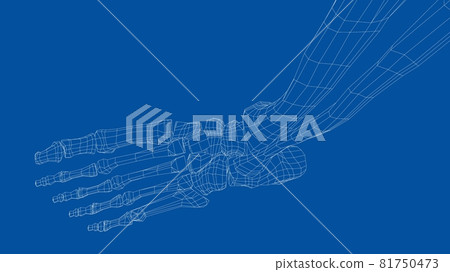 Human skeleton. Vector Human skeleton. Vector 81750473