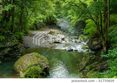 Clear stream 81750609