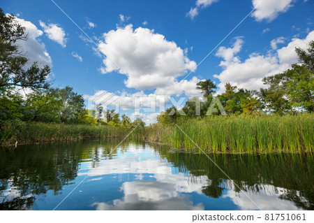 Summer river 81751061