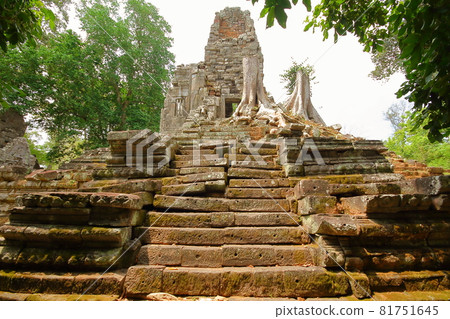 柬埔寨暹粒世界遺產吳哥城遺址中的普雷亞帕里萊寺 81751645