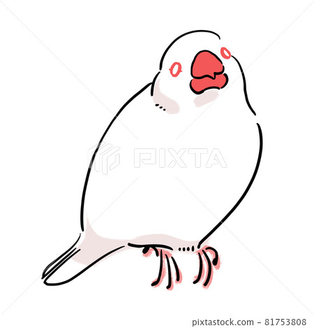 Relaxed white finch Relaxed white finch 81753808