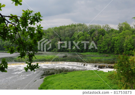 Stork flies over the Rumba Falls in Kuldiga 81753873