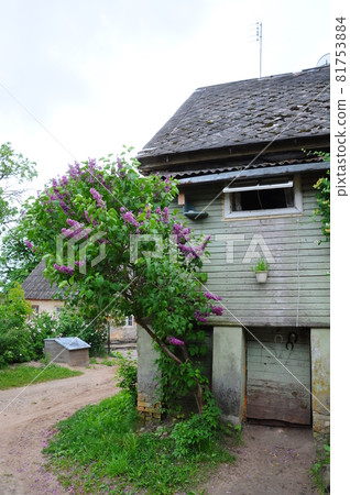 City Kandava, Latvia. Street an urban view, way and houses, 81753884