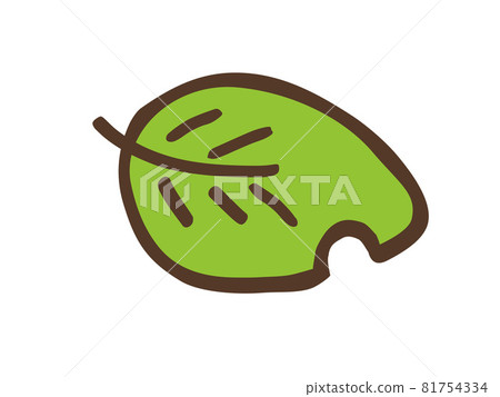 1 green leaf / hand-drawn illustration 1 green leaf / hand-drawn illustration 81754334