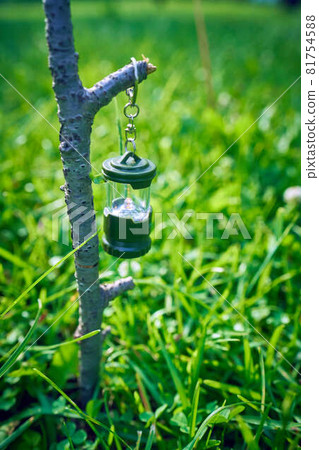 Toy lantern hanging from a tree in the park 81754588