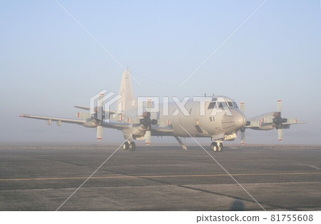 海上自衛隊的 P-3C 獵戶座巡邏機在晨霧中展翅。 81755608