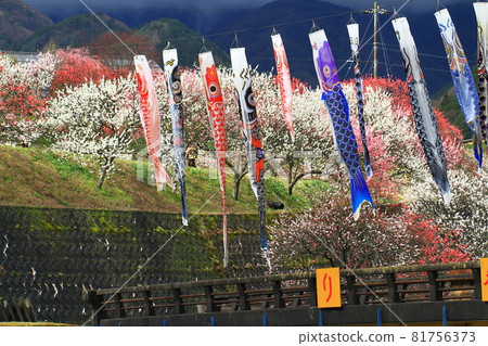 田園裡花桃鯉魚旗綻放 81756373