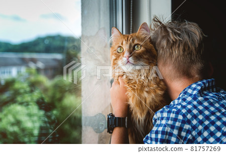 Child hug pet cat near window at home. Children take care of domestic animal. Ginger cat on hands at home. Child hug pet cat near window at home. Children take care of domestic animal. Ginger cat on hands at home. 81757269