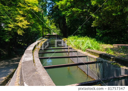 流經京都市南禪寺水樓閣的水 81757347