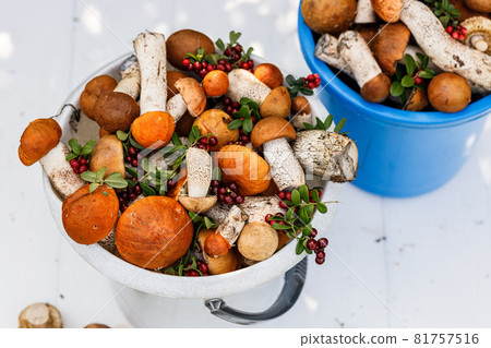 Close-up orange cap boletus mushrooms and lingonberry in buckets on a rustic background. Collecting wild mushrooms and berries in the forest. Autumn season of edible forest mushrooms and berries 81757516