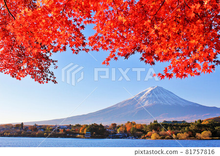 秋葉和富士山 81757816