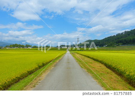 Country road [Azumino] 81757885