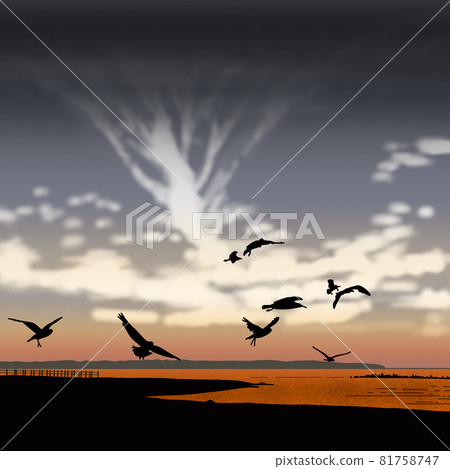 美麗的日落，黃昏-海鳥 81758747