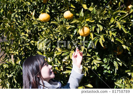 A woman trying to pick fruit from a tree 81758789