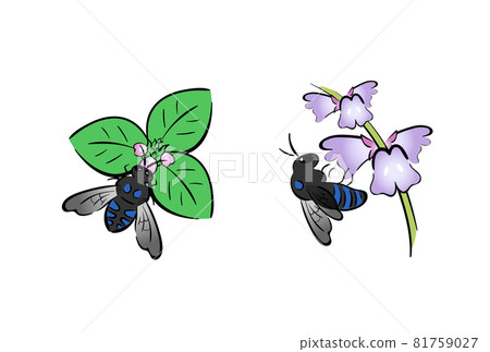 Blue Bee 81759027