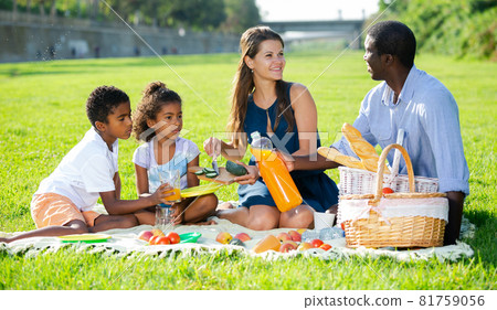 Couple with children at picnic 81759056
