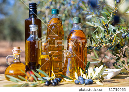 Set of bottles with olive oil on background with olive tree Set of bottles with olive oil on background with olive tree 81759063