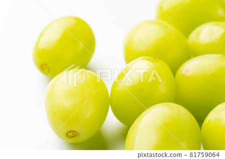 閃耀馬斯喀特 81759064