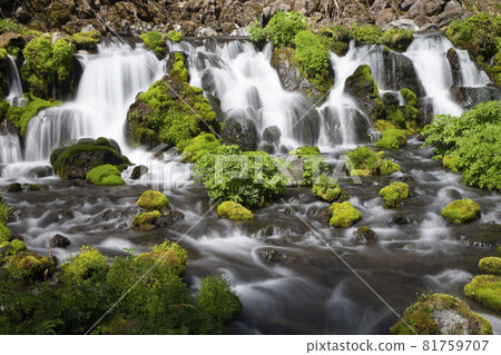 羊蹄山的春天 81759707