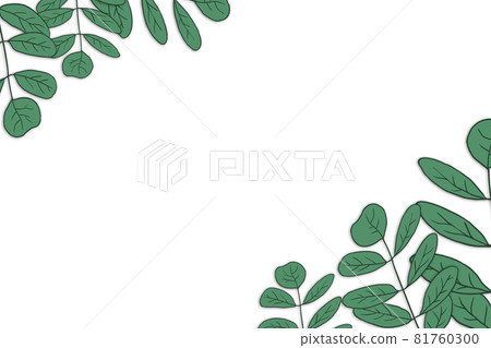 Plant vector illustration with white background Plant vector illustration with white background 81760300