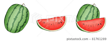 colored hand drawn collection of watermelon colored hand drawn collection of watermelon 81761289