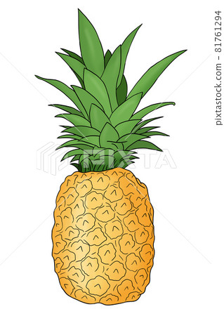 colored hand drawn pineapple fruit colored hand drawn pineapple fruit 81761294