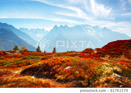 Amazing view on Monte Bianco mountains range with Monblan on background 81761579