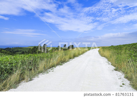 賽亞山的白色道路 81763131