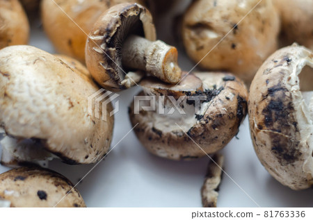 Raw and fresh mushrooms on a white background, vegetables from an organic farm 81763336