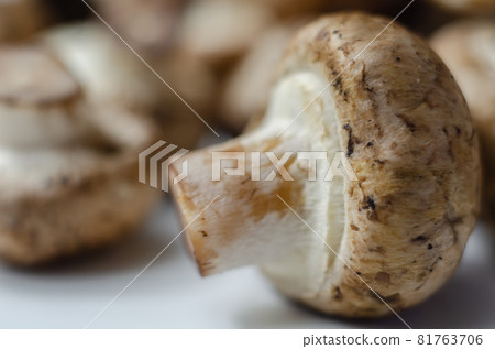 Raw and fresh mushrooms on a white background, vegetables from an organic farm Raw and fresh mushrooms on a white background, vegetables from an organic farm 81763706