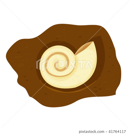Amonite shell fossil, prehistoric creature in cartoon style isolated on white background. Science spiral snail. Amonite shell fossil, prehistoric creature in cartoon style isolated on white background. Science spiral snail. 81764117
