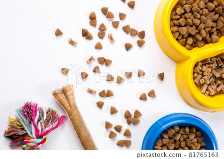 dry pet food in bowl and toys for dogs on white background top view dry pet food in bowl and toys for dogs on white background top view 81765163