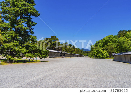 Kyoto Gyoen 81765625