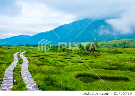 Spectacular view from Midagahara in the Northern Alps 81765759