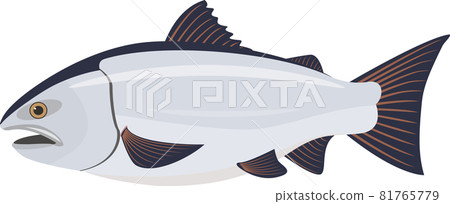 Cherry blossom 81765779