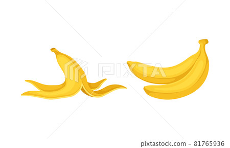 Banana as Elongated, Edible Fruit Covered with Yellow Rind Vector Set Banana as Elongated, Edible Fruit Covered with Yellow Rind Vector Set 81765936