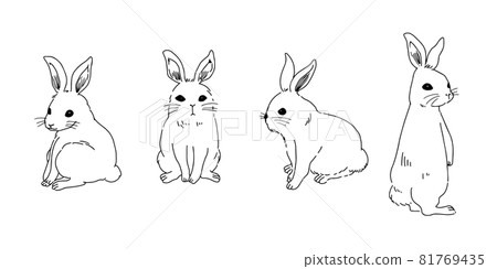 一隻簡單的兔子，只有線條畫 81769435