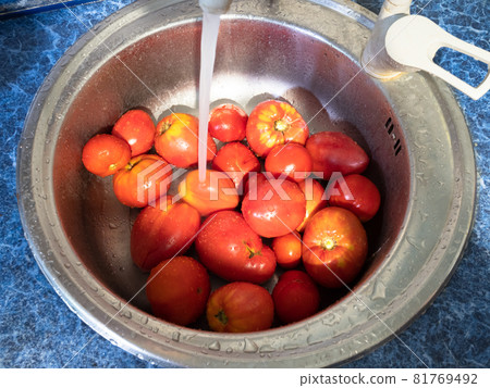 ripe tomatoes harvested from home garden are washing under running water in sink of rustic kitchen 81769492