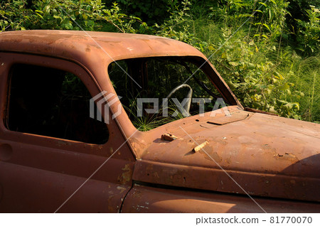 A rusty old car overgrown with greenery. Abandoned city, fleet. 81770070