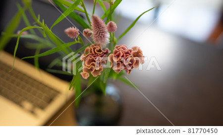 A telecommuting scene with autumn flowers (center) A telecommuting scene with autumn flowers (center) 81770450