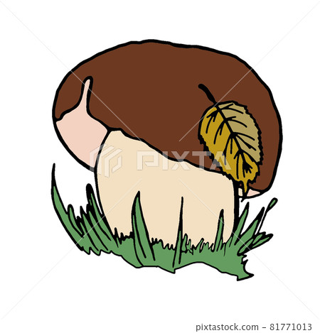 Hand drawn print of porcini or boletus mushroom with yellow leaves in its cap in doodle style Hand drawn print of porcini or boletus mushroom with yellow leaves in its cap in doodle style 81771013