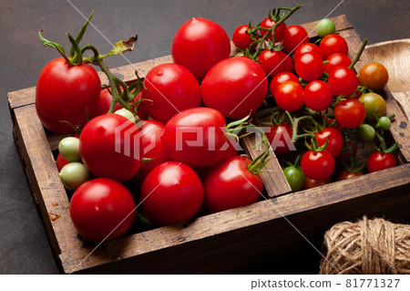Fresh tomatoes and cherry tomatoes in box 81771327