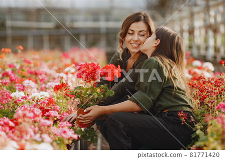 Family working in a greenhouse 81771420