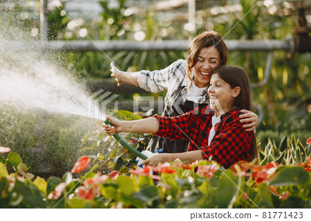 Family working in a greenhouse Family working in a greenhouse 81771423