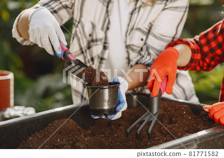 Gardeners hand planting flowers in pot Gardeners hand planting flowers in pot 81771582